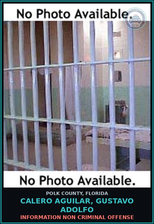 Booking mugshot of CALERO AGUILAR, GUSTAVO ADOLFO in Polk County