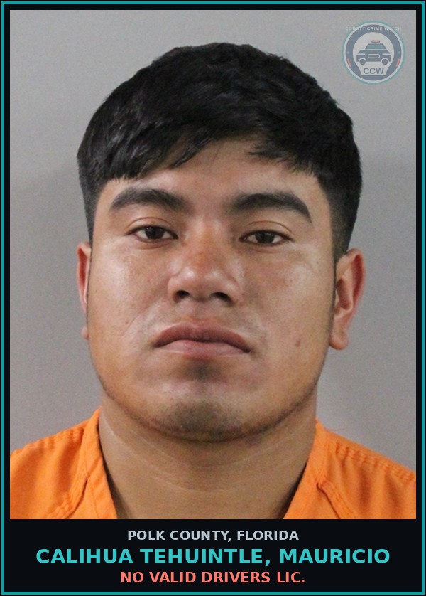 Booking mugshot of CALIHUA TEHUINTLE, MAURICIO in Polk County