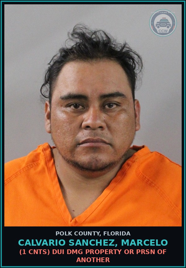Booking mugshot of CALVARIO SANCHEZ, MARCELO in Polk County