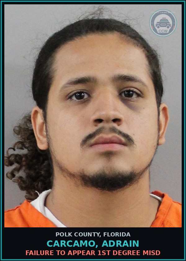 Booking mugshot of CARCAMO, ADRAIN in Polk County