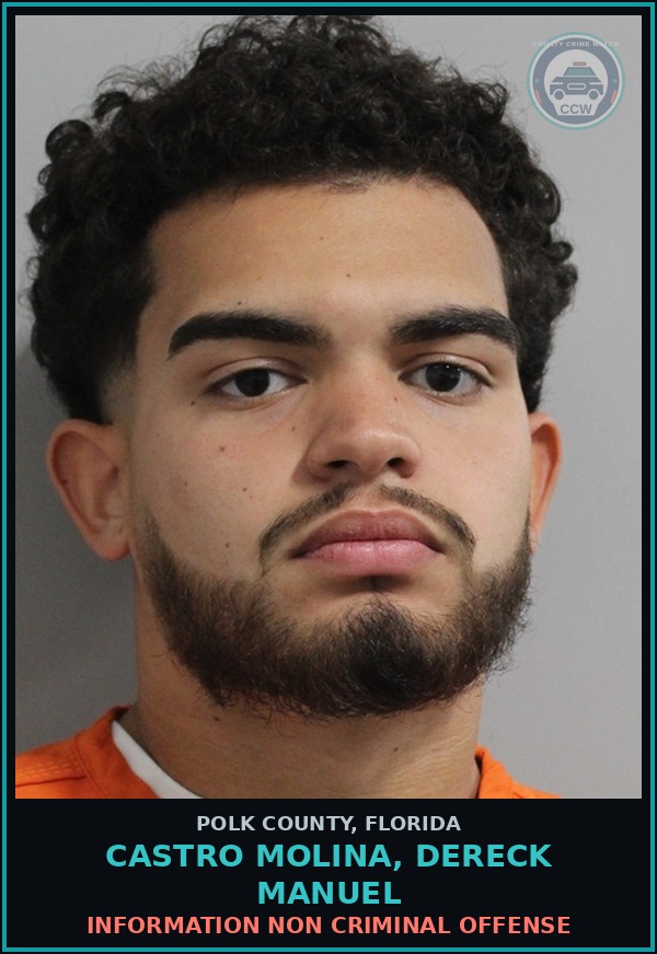Booking mugshot of CASTRO MOLINA, DERECK MANUEL in Polk County
