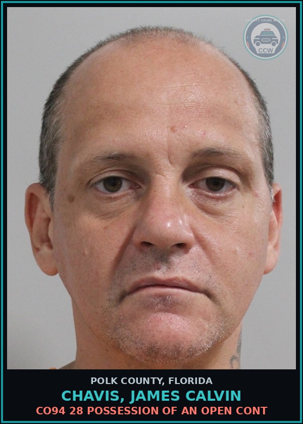 Booking mugshot of CHAVIS, JAMES CALVIN in Polk County
