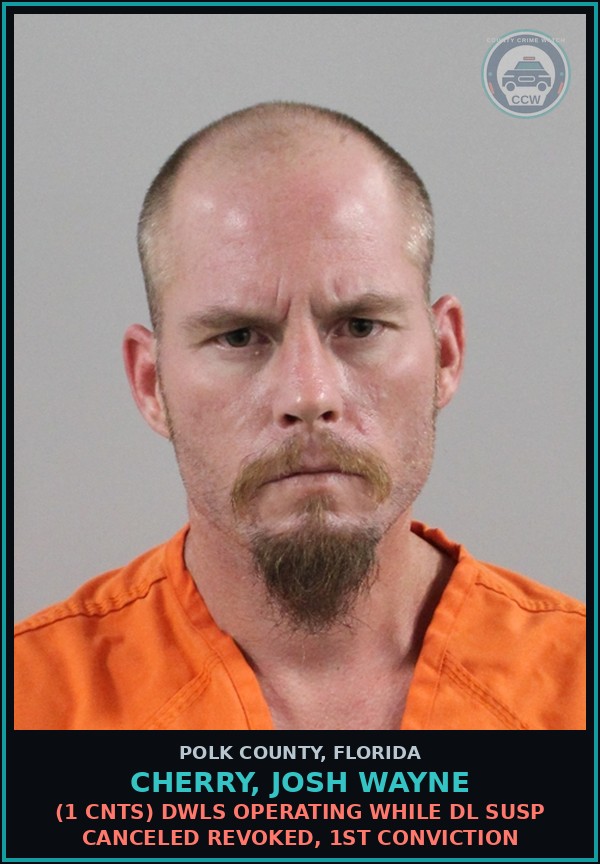 Booking mugshot of CHERRY, JOSH WAYNE in Polk County