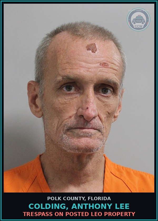 Booking mugshot of COLDING, ANTHONY LEE in Polk County