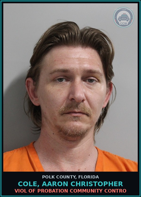 Booking mugshot of COLE, AARON CHRISTOPHER in Polk County