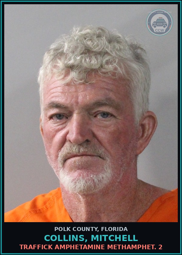 Booking mugshot of COLLINS, MITCHELL in Polk County
