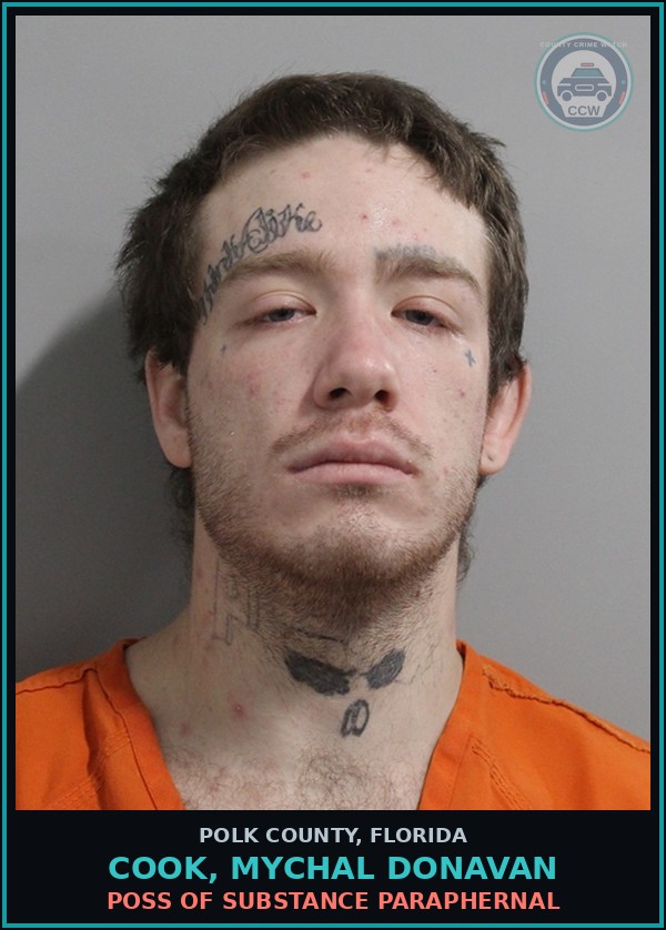 Booking mugshot of COOK, MYCHAL DONAVAN in Polk County