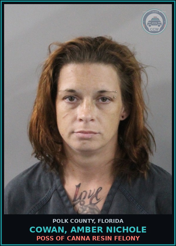 Booking mugshot of COWAN, AMBER NICHOLE in Polk County