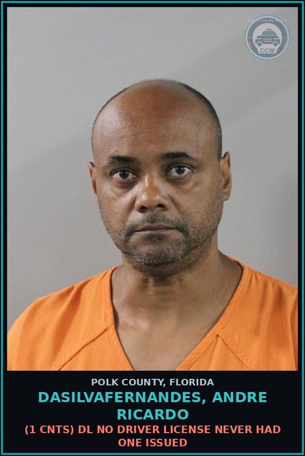 Booking mugshot of DASILVAFERNANDES, ANDRE RICARDO in Polk County