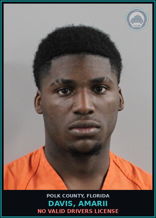 Booking mugshot of DAVIS, AMARII in Polk County