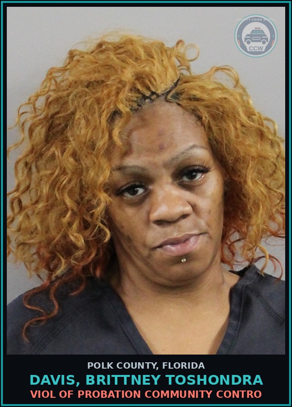 Booking mugshot of DAVIS, BRITTNEY TOSHONDRA in Polk County