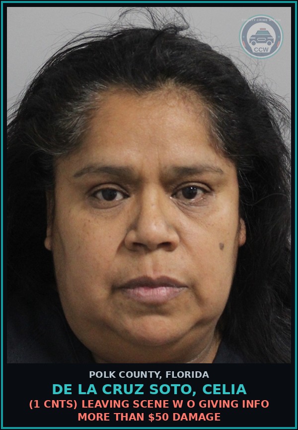Booking mugshot of DE LA CRUZ SOTO, CELIA in Polk County