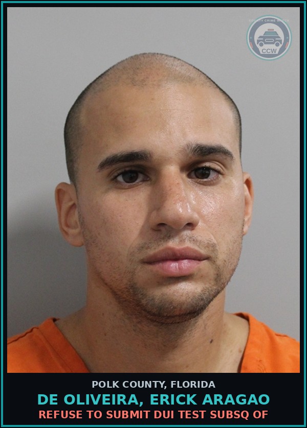 Booking mugshot of DE OLIVEIRA, ERICK ARAGAO in Polk County