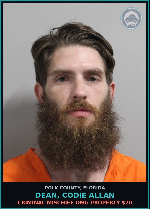 Booking mugshot of DEAN, CODIE ALLAN in Polk County