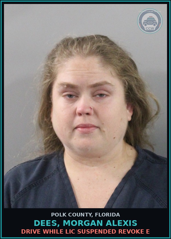 Booking mugshot of DEES, MORGAN ALEXIS in Polk County