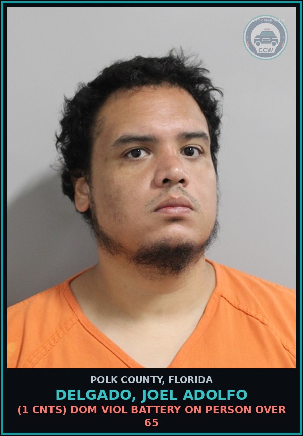 Booking mugshot of DELGADO, JOEL ADOLFO in Polk County