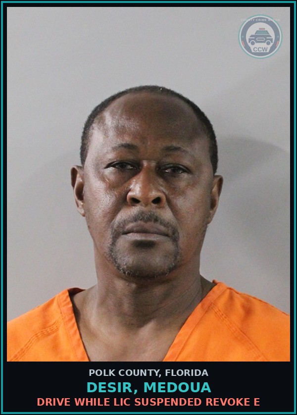 Booking mugshot of DESIR, MEDOUA in Polk County