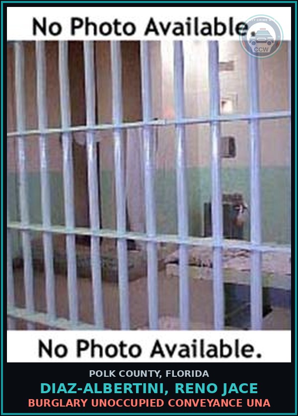 Booking mugshot of DIAZ-ALBERTINI, RENO JACE in Polk County