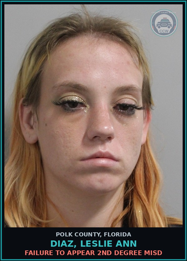 Booking mugshot of DIAZ, LESLIE ANN in Polk County