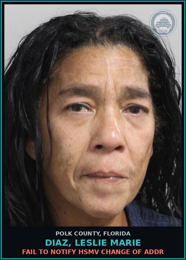 Booking mugshot of DIAZ, LESLIE MARIE in Polk County