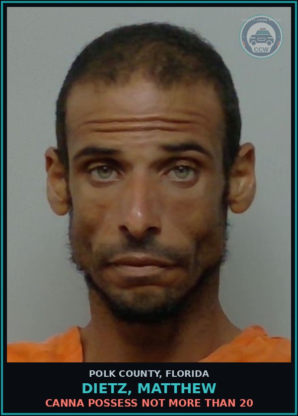 Booking mugshot of DIETZ, MATTHEW in Polk County