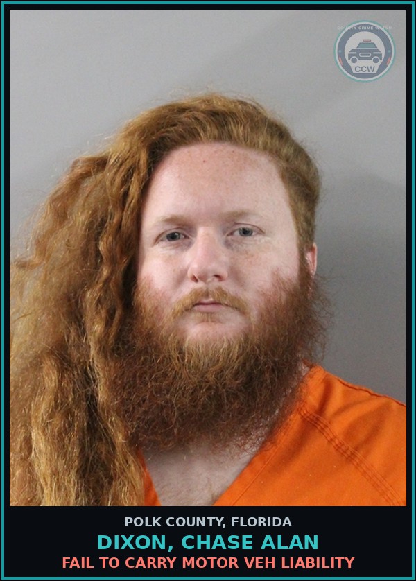 Booking mugshot of DIXON, CHASE ALAN in Polk County