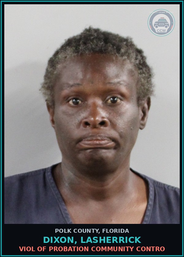 Booking mugshot of DIXON, LASHERRICK in Polk County
