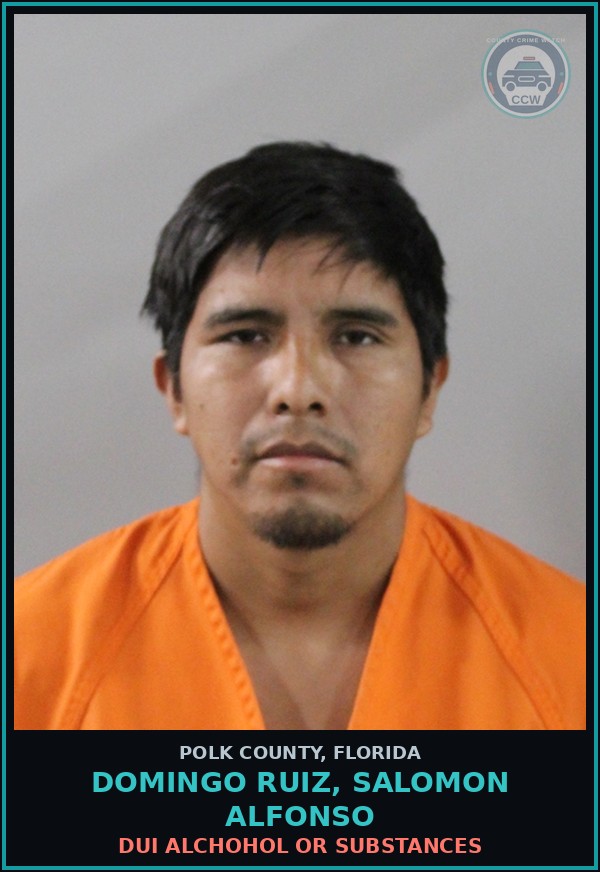 Booking mugshot of DOMINGO RUIZ, SALOMON ALFONSO in Polk County