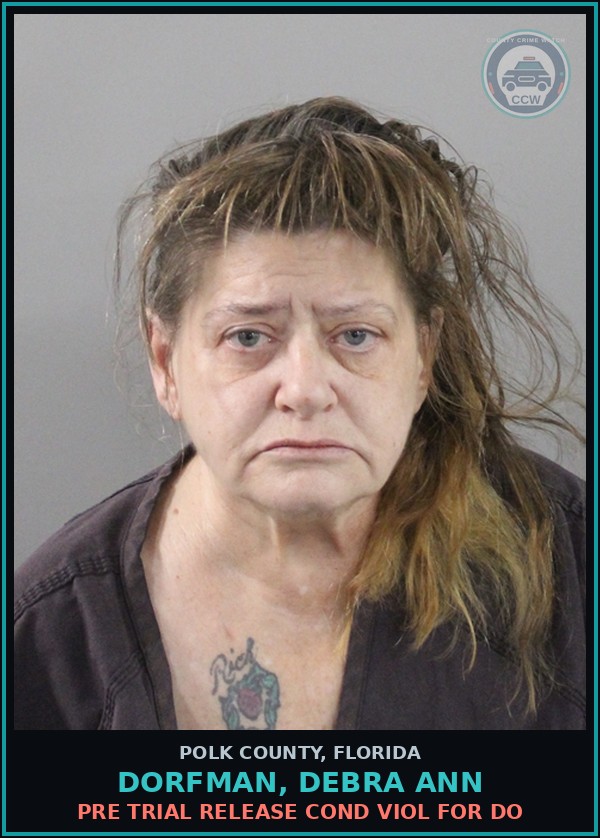 Booking mugshot of DORFMAN, DEBRA ANN in Polk County