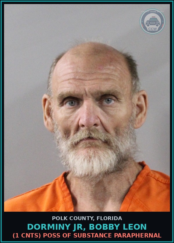Booking mugshot of DORMINY JR, BOBBY LEON in Polk County