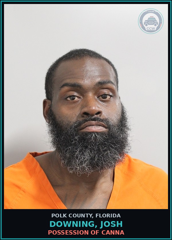 Booking mugshot of DOWNING, JOSH in Polk County