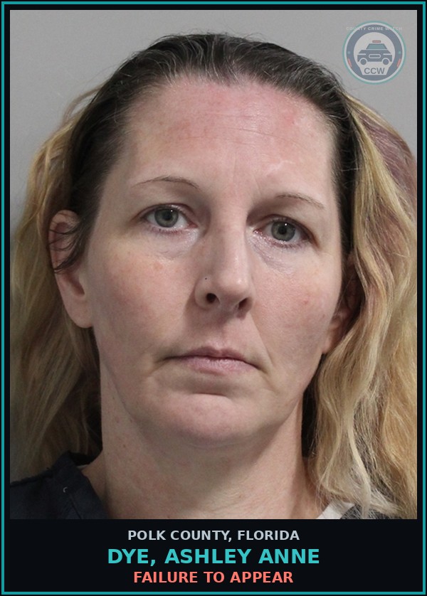 Booking mugshot of DYE, ASHLEY ANNE in Polk County