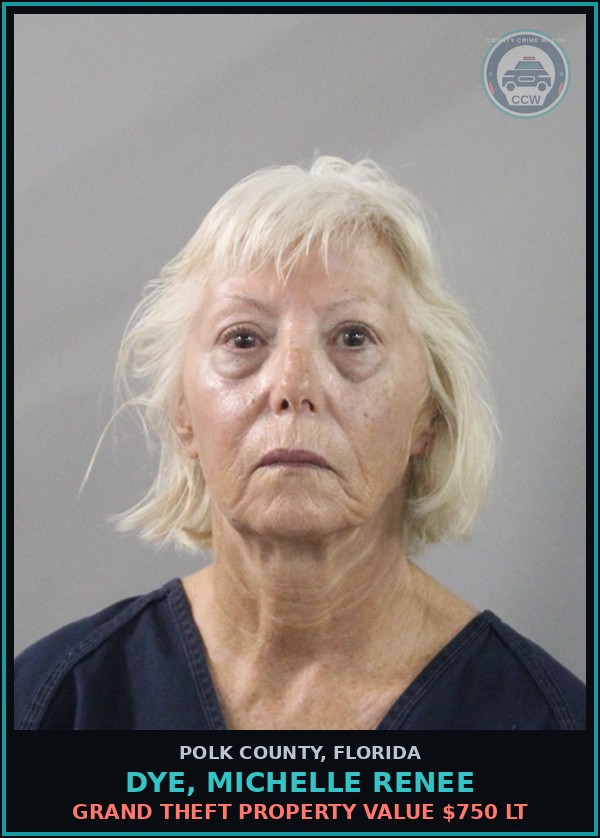Booking mugshot of DYE, MICHELLE RENEE in Polk County