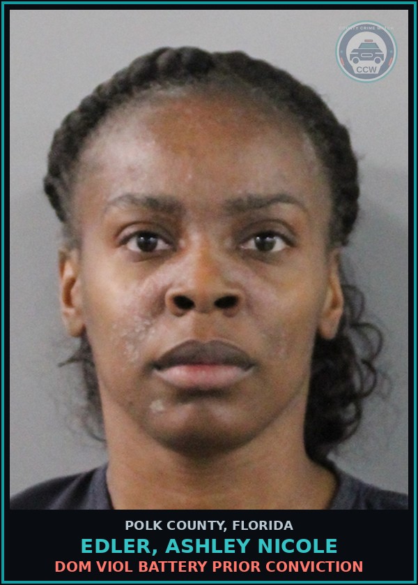 Booking mugshot of EDLER, ASHLEY NICOLE in Polk County