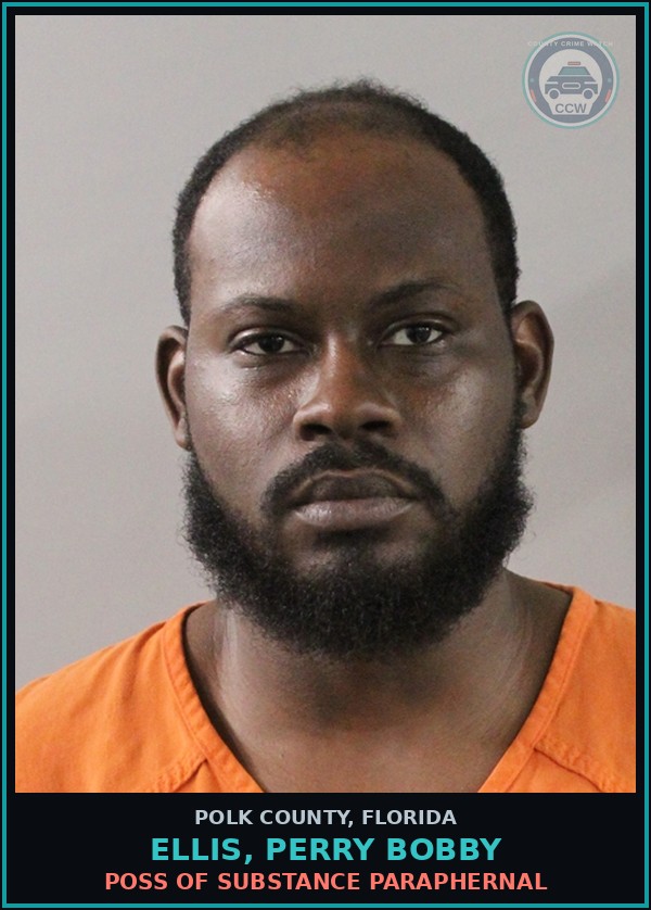 Booking mugshot of ELLIS, PERRY BOBBY in Polk County