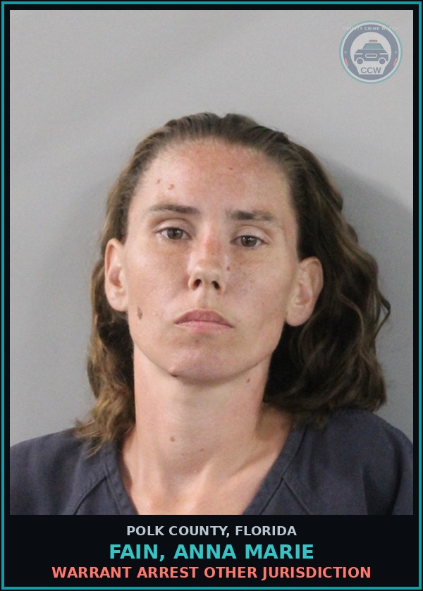 Booking mugshot of FAIN, ANNA MARIE in Polk County