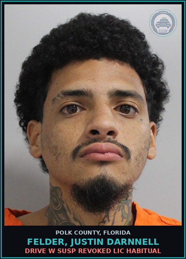 Booking mugshot of FELDER, JUSTIN DARNNELL in Polk County