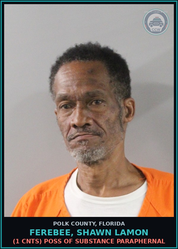 Booking mugshot of FEREBEE, SHAWN LAMON in Polk County