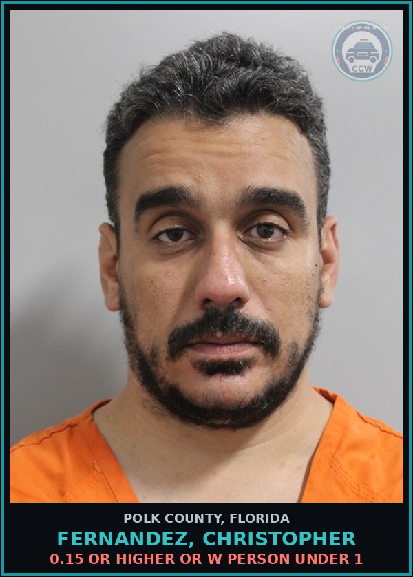 Booking mugshot of FERNANDEZ, CHRISTOPHER in Polk County