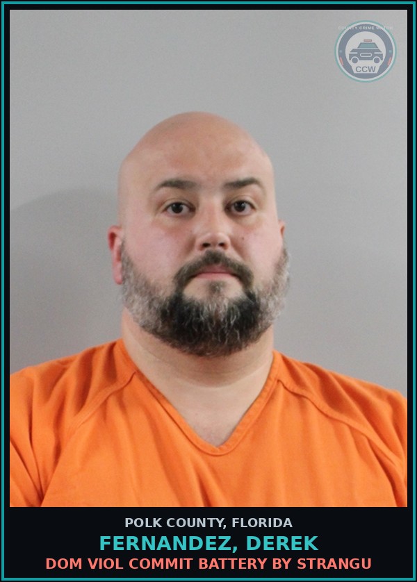 Booking mugshot of FERNANDEZ, DEREK in Polk County