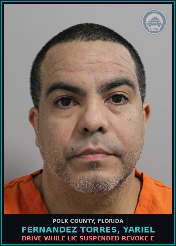 Booking mugshot of FERNANDEZ TORRES, YARIEL in Polk County