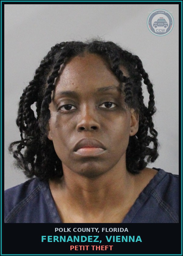Booking mugshot of FERNANDEZ, VIENNA in Polk County