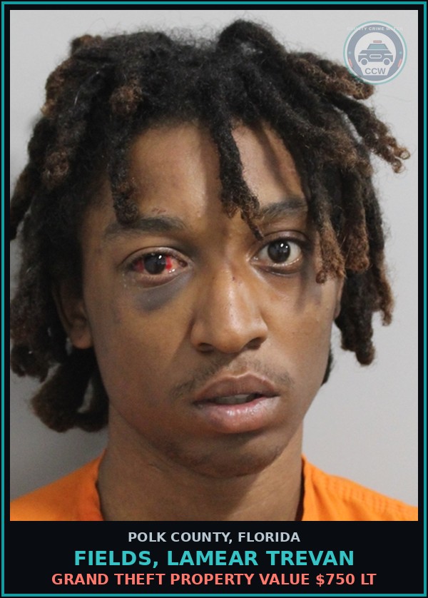 Booking mugshot of FIELDS, LAMEAR TREVAN in Polk County