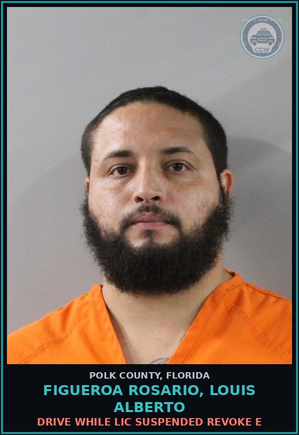 Booking mugshot of FIGUEROA ROSARIO, LOUIS ALBERTO in Polk County