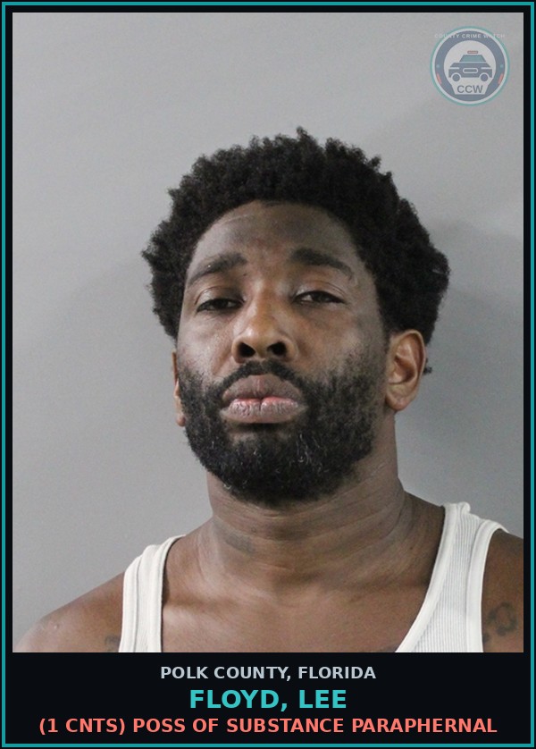 Booking mugshot of FLOYD, LEE in Polk County