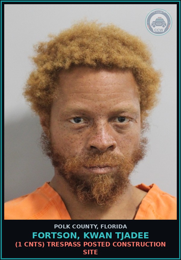 Booking mugshot of FORTSON, KWAN TJADEE in Polk County