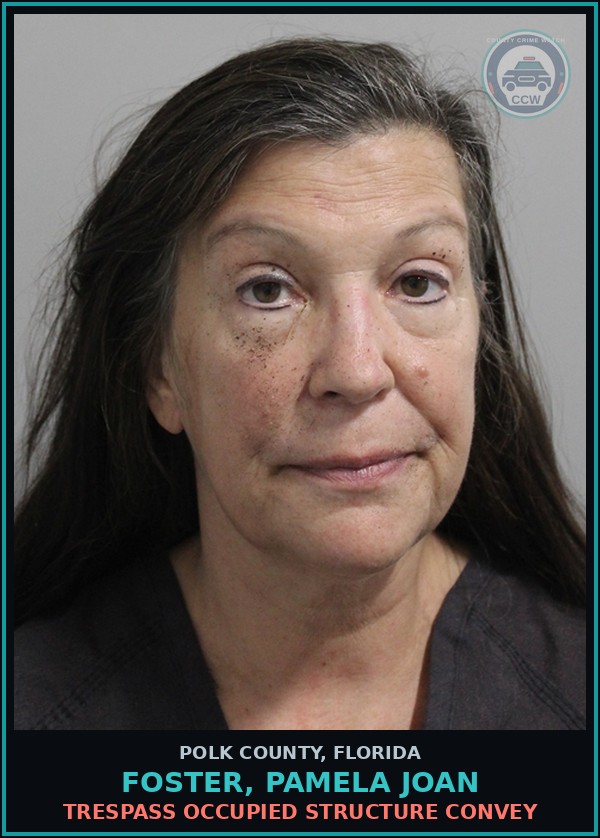 Booking mugshot of FOSTER, PAMELA JOAN in Polk County