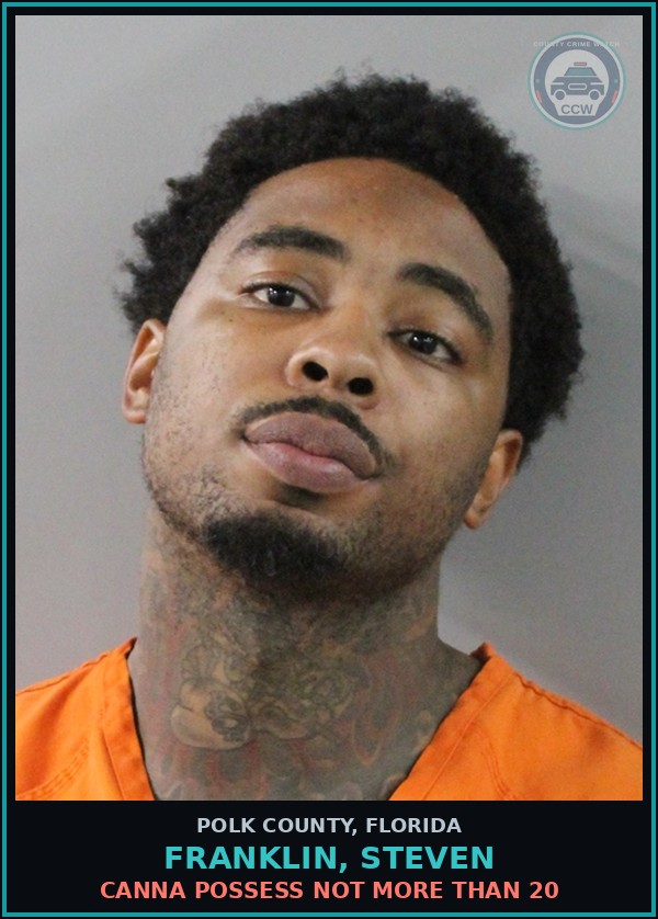 Booking mugshot of FRANKLIN, STEVEN in Polk County