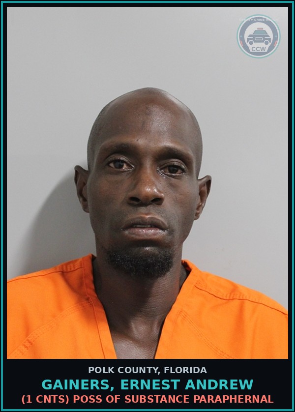 Booking mugshot of GAINERS, ERNEST ANDREW in Polk County
