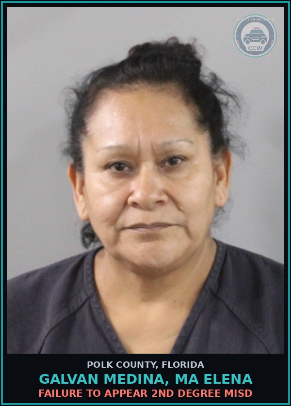 Booking mugshot of GALVAN MEDINA, MA ELENA in Polk County